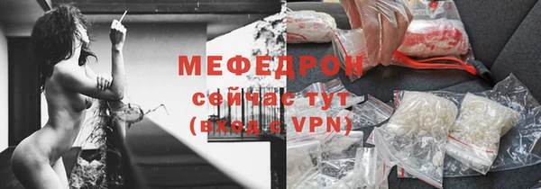 мдпв Богородск