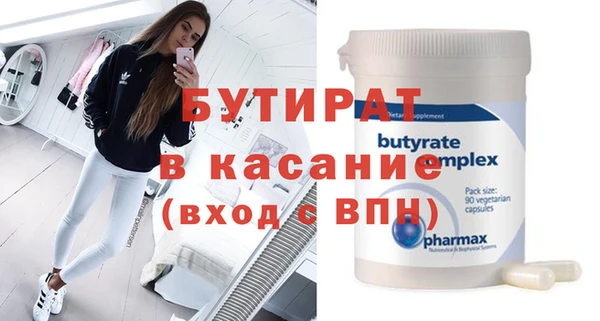 крисы Бородино