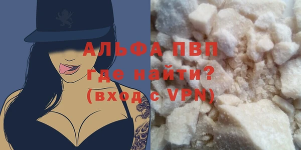 крисы Бородино