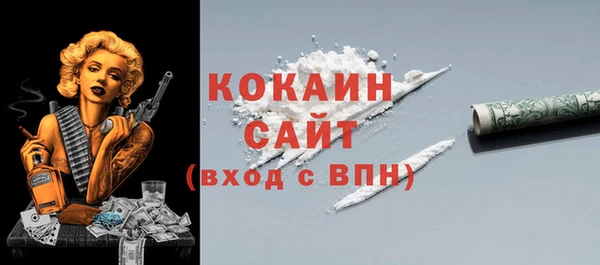 мдпв Богородск