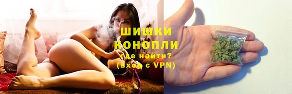 МДПВ Бугульма