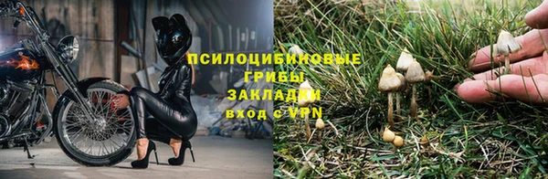прущая мука Бронницы