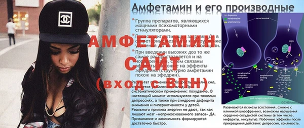крисы Бородино