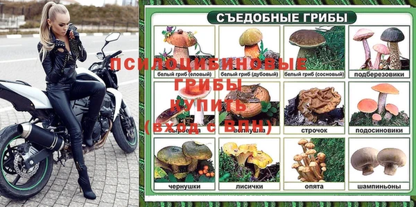 мдпв Богородск