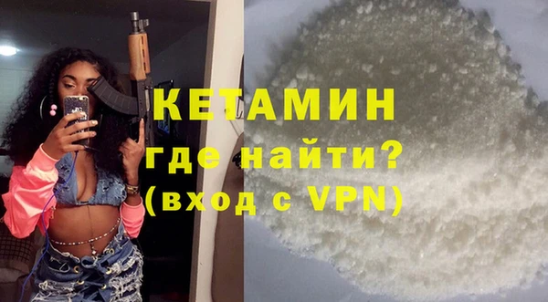 крисы Бородино