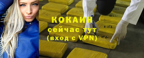 крисы Бородино