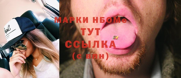 сатива Богородицк