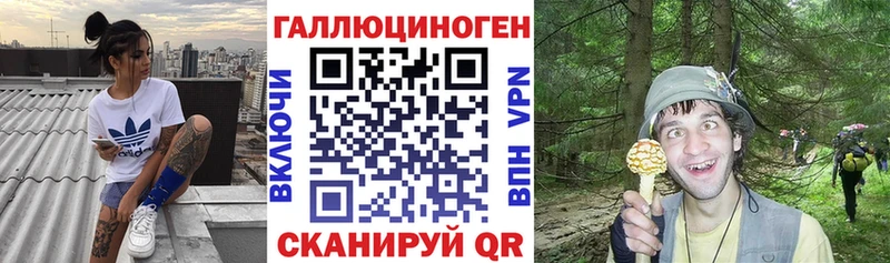 Псилоцибиновые грибы Psilocybe  Катайск 